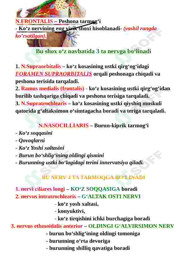 Preview 8