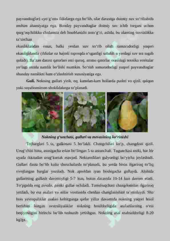 Preview 6