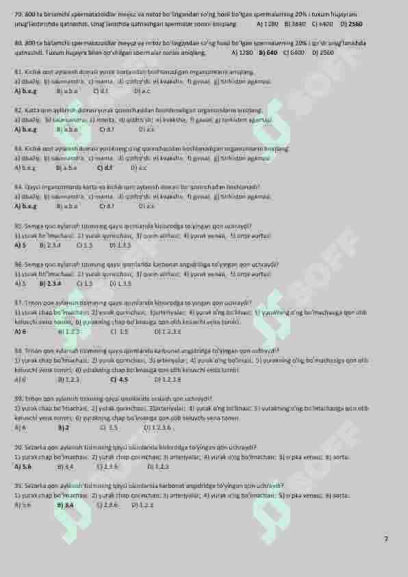 Preview 7