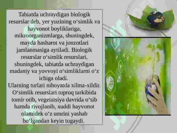 Preview 2