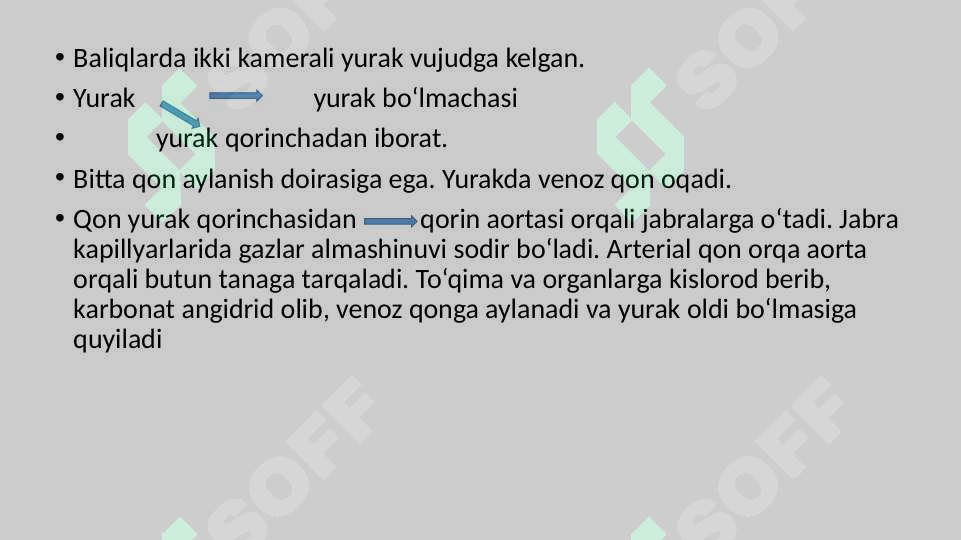 Preview 7