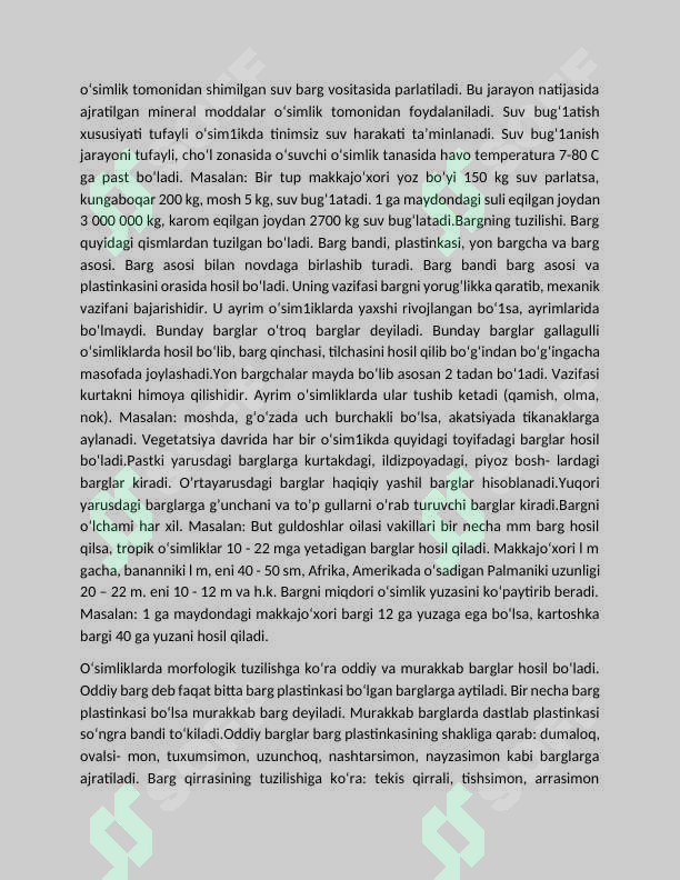 Preview 5
