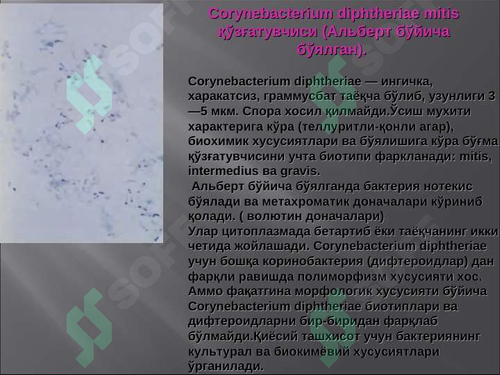 Preview 7