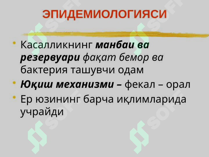 Preview 5