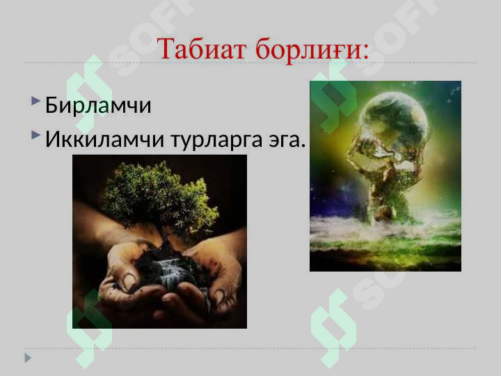 Preview 5