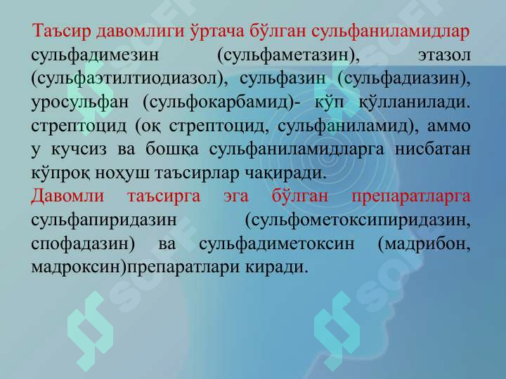 Preview 8