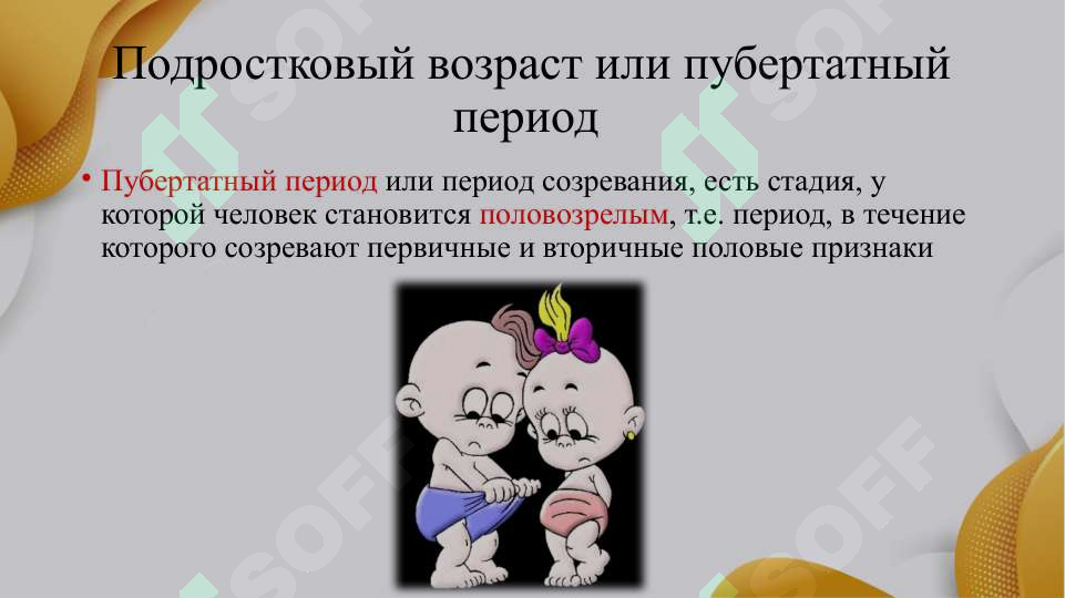 Preview 4