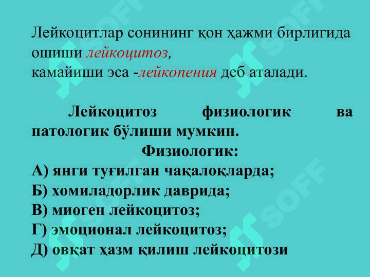 Preview 7