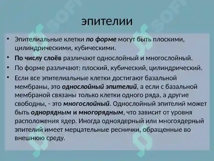 Preview 7