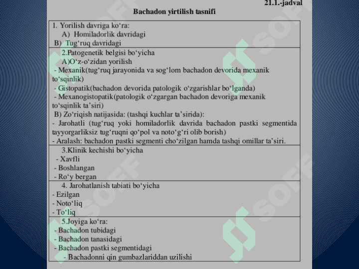 Preview 5