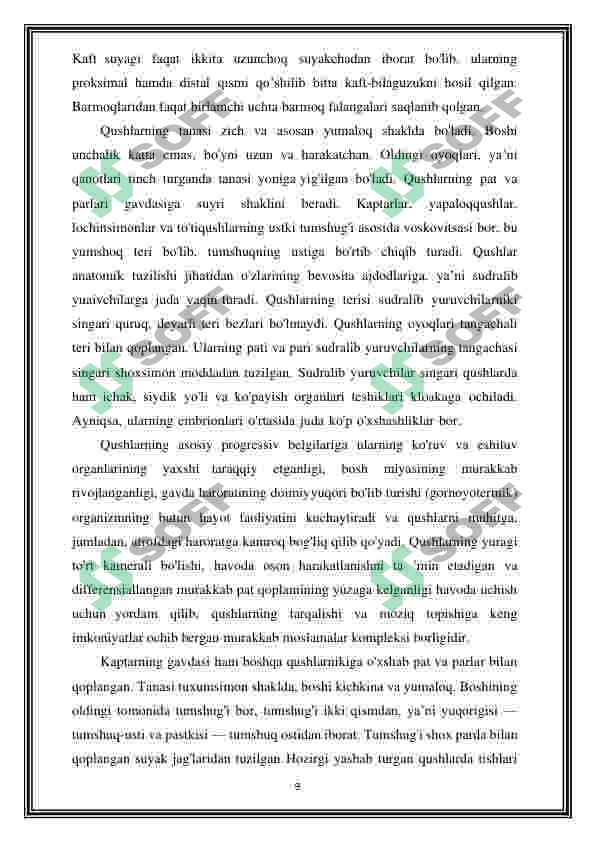Preview 8