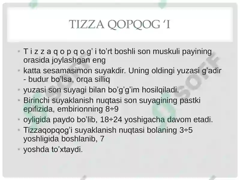 Preview 7