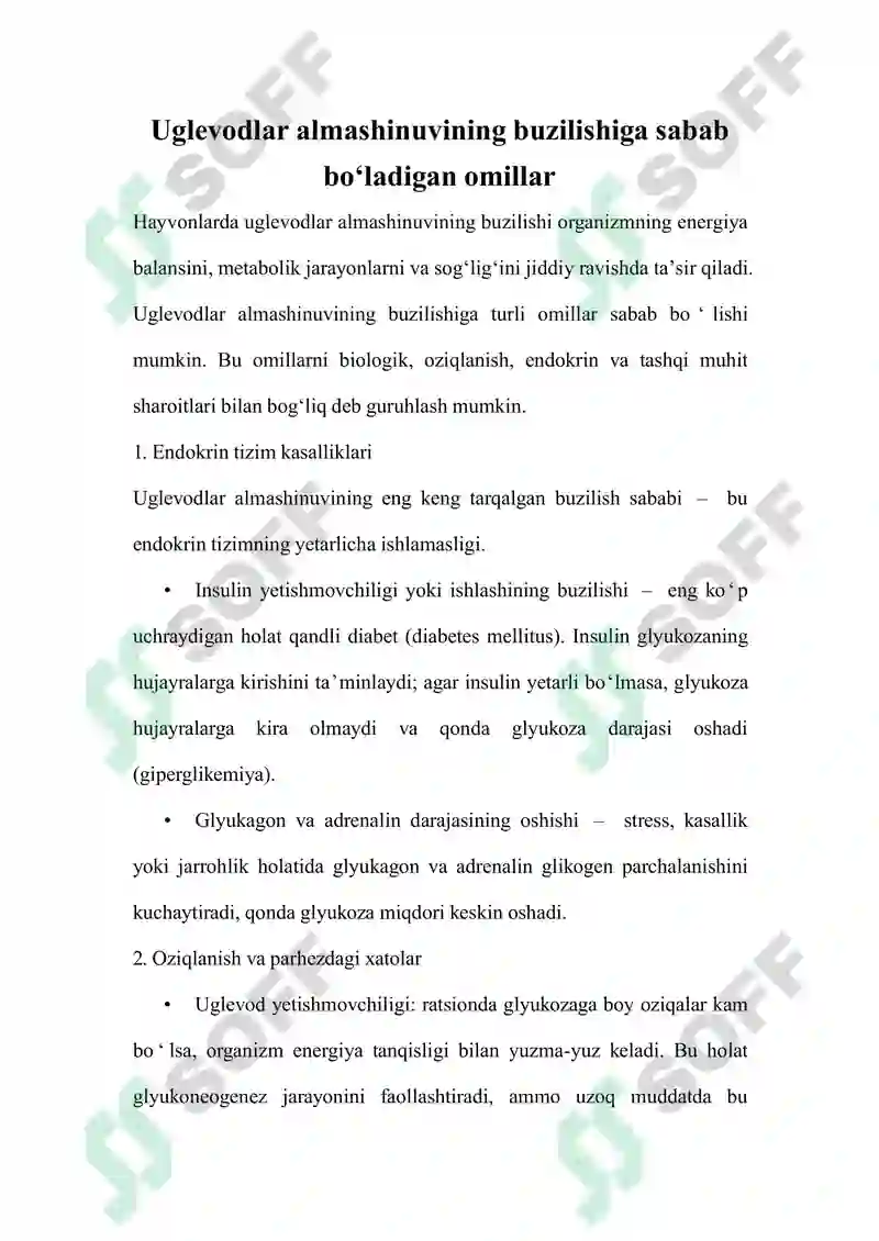 Preview 8