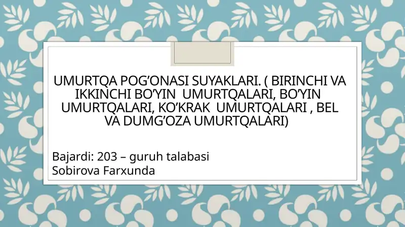 Preview 1