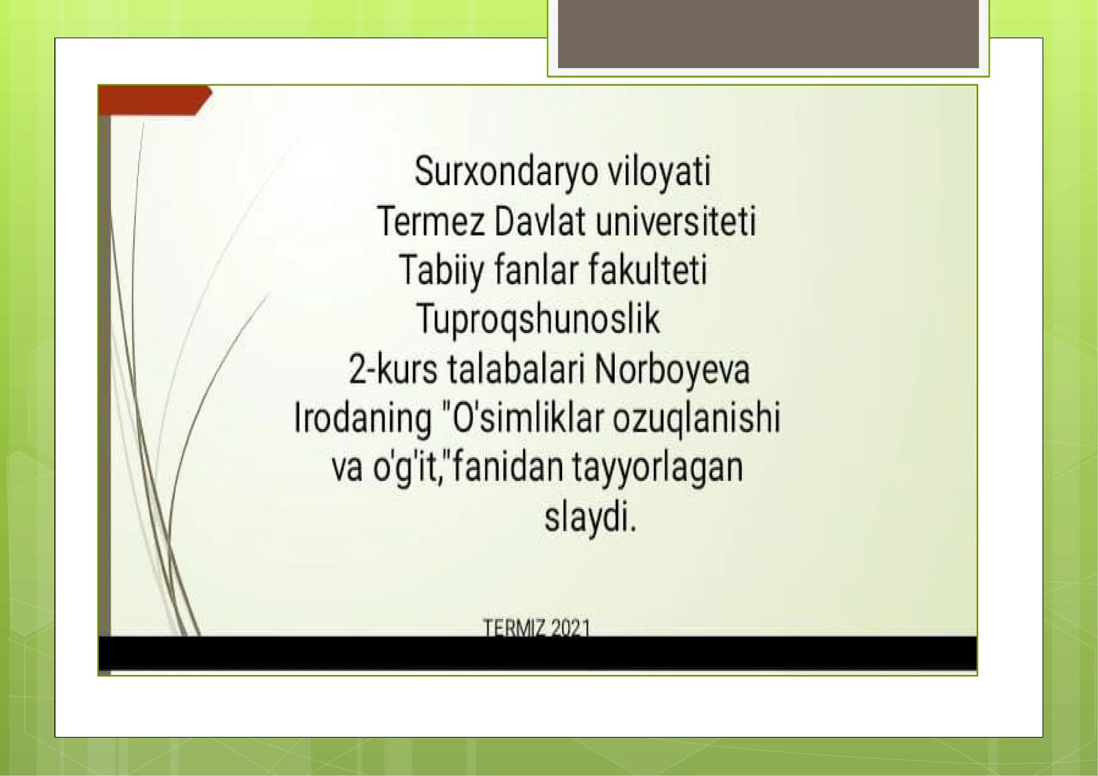Preview 1