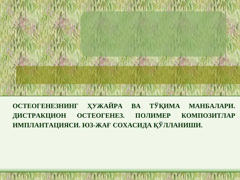 Preview 1