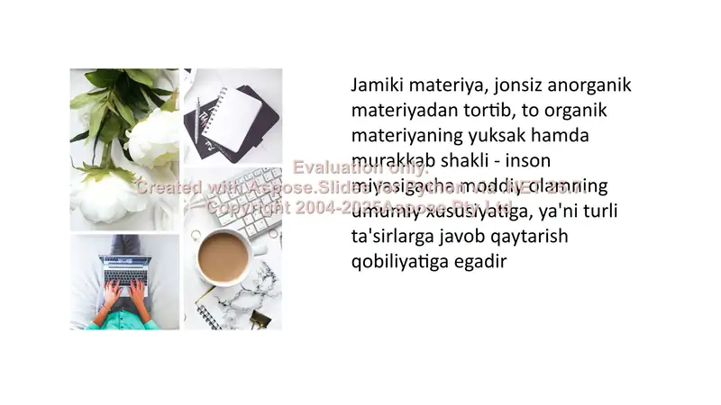 Preview 2