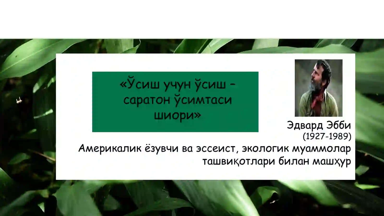Preview 2