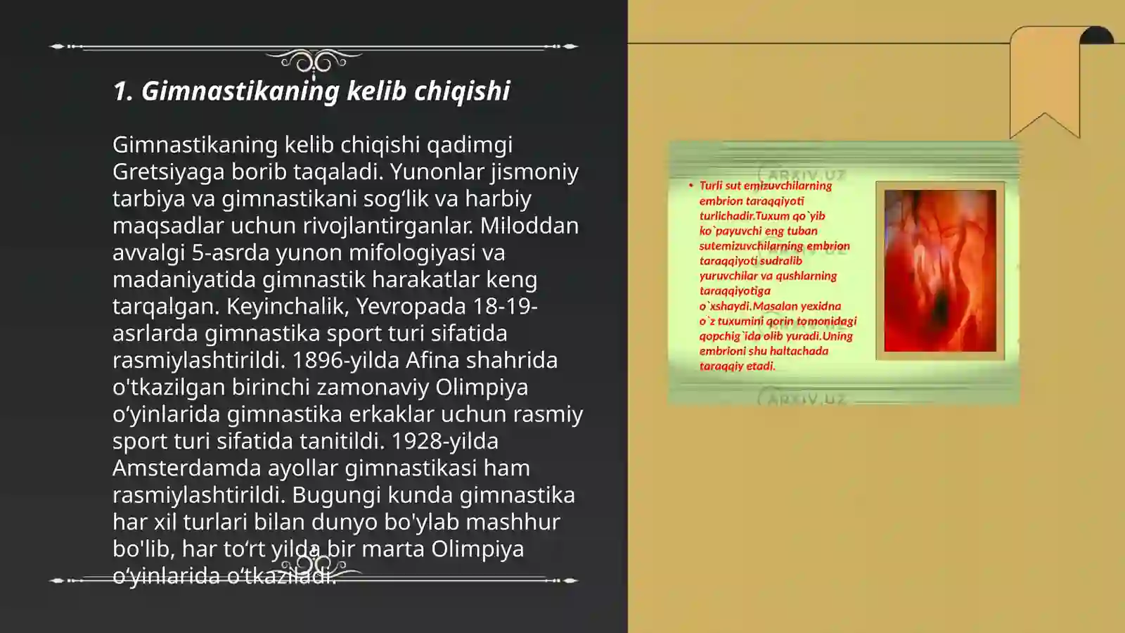 Preview 3
