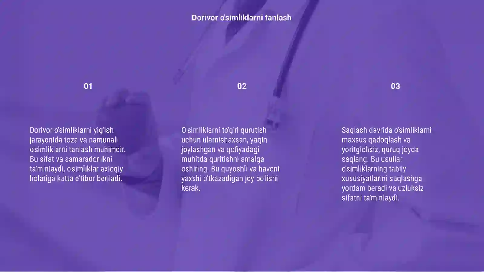 Preview 3