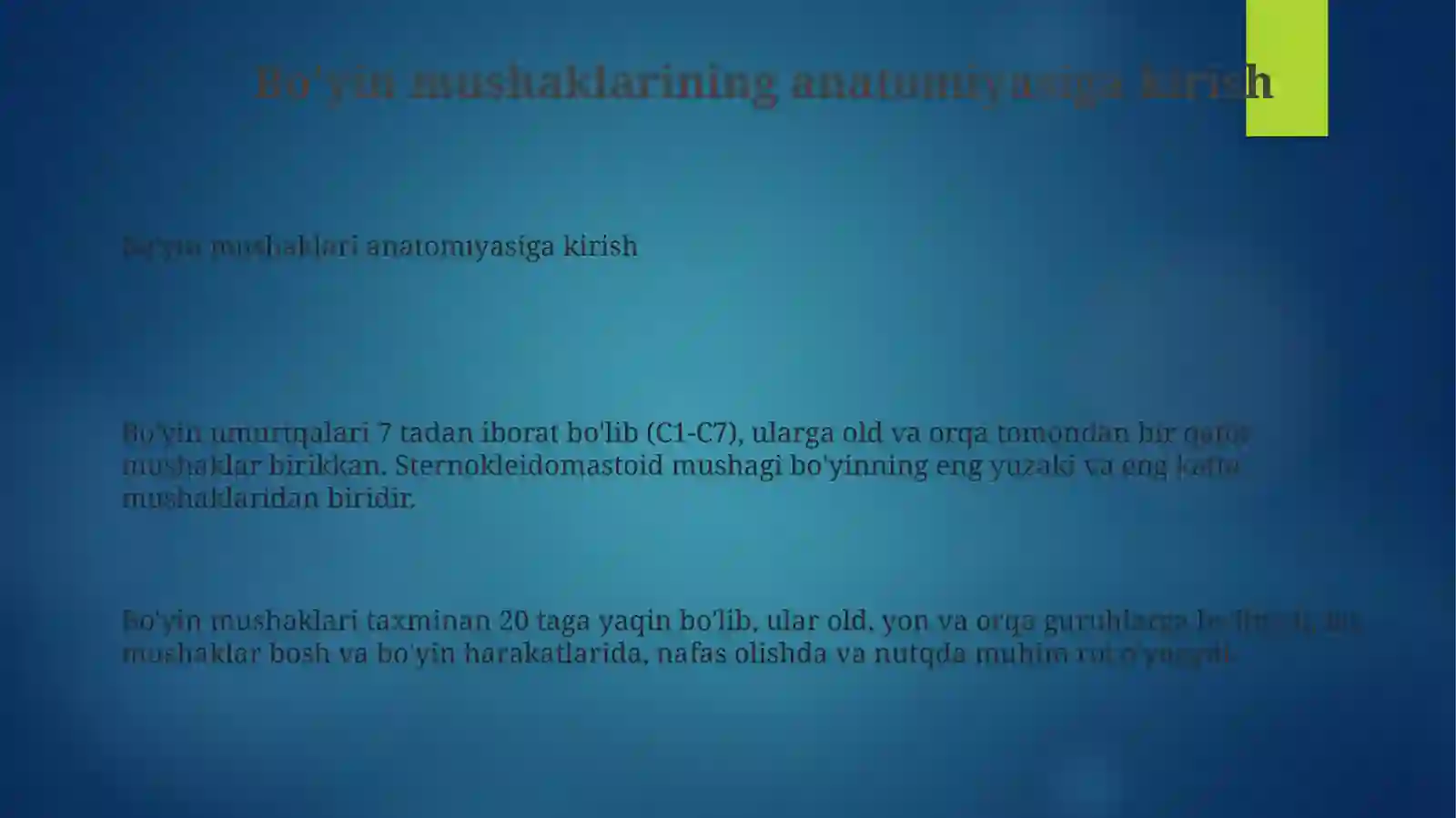 Preview 3