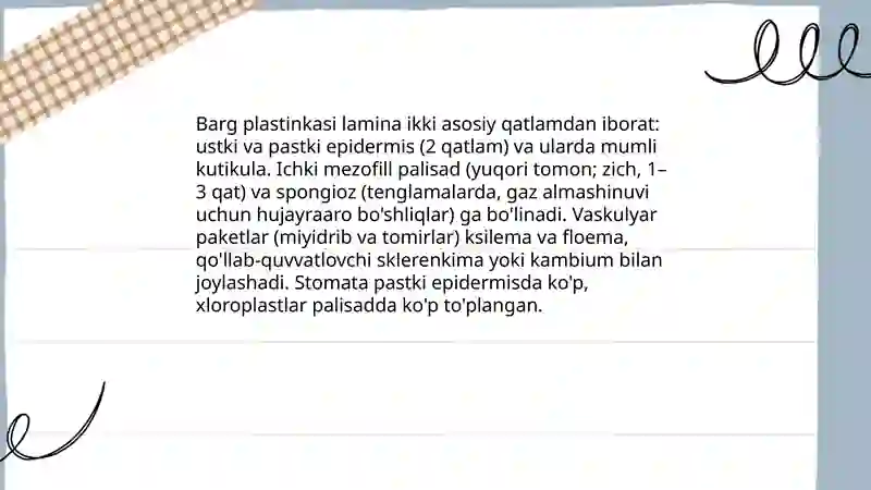 Preview 4