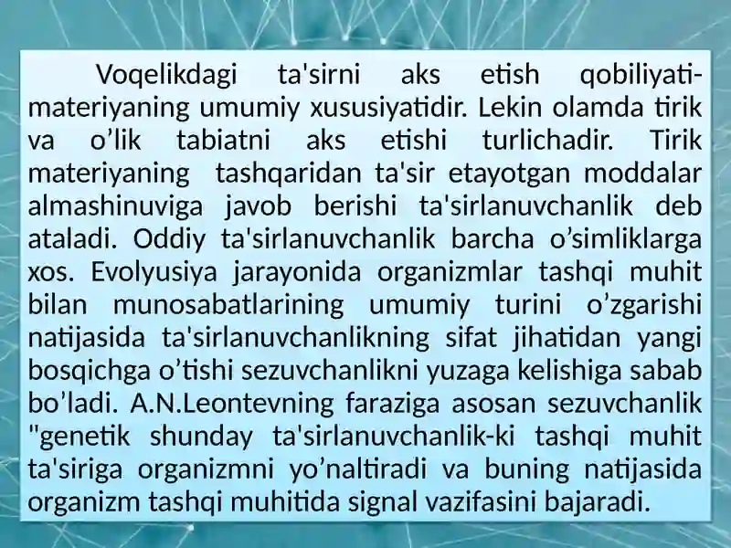 Preview 4