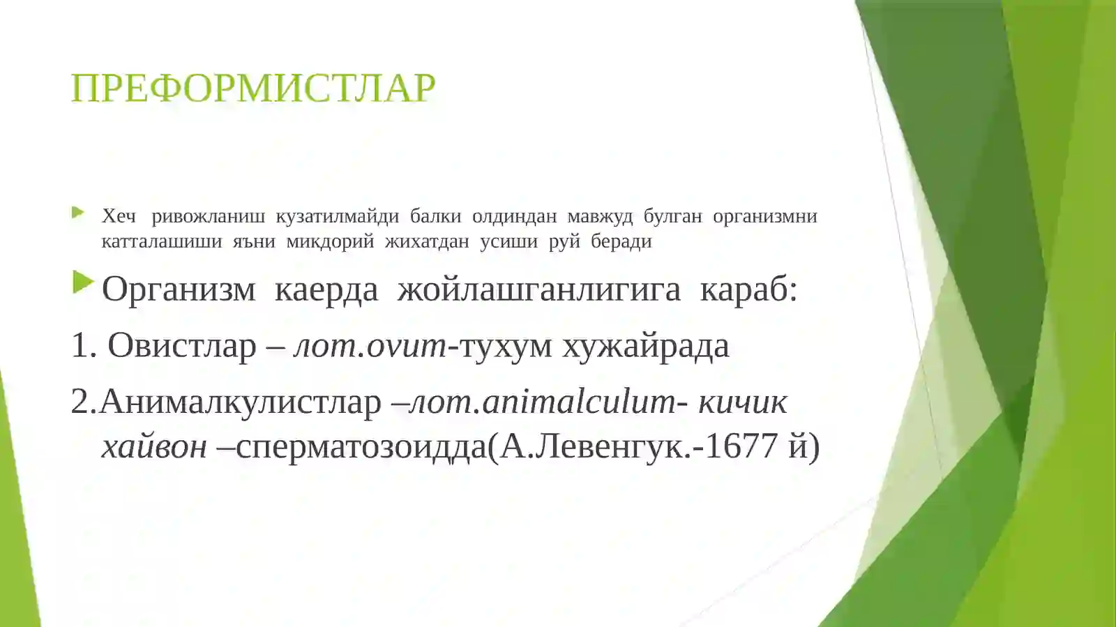 Preview 4
