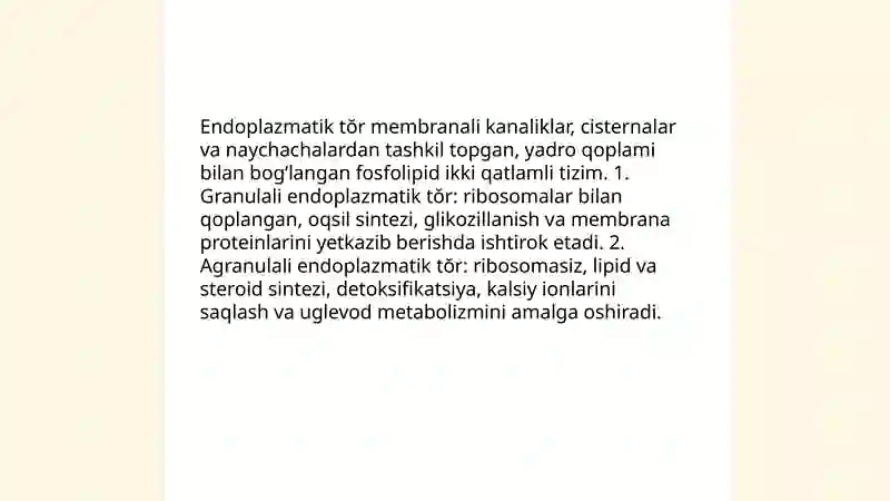 Preview 4