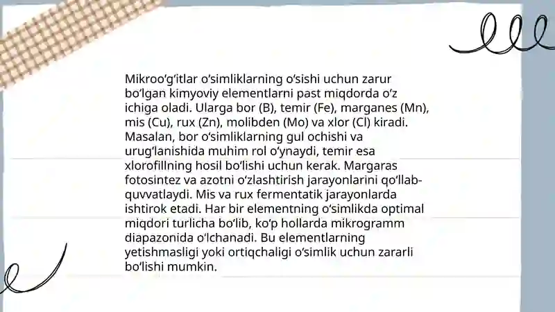 Preview 4