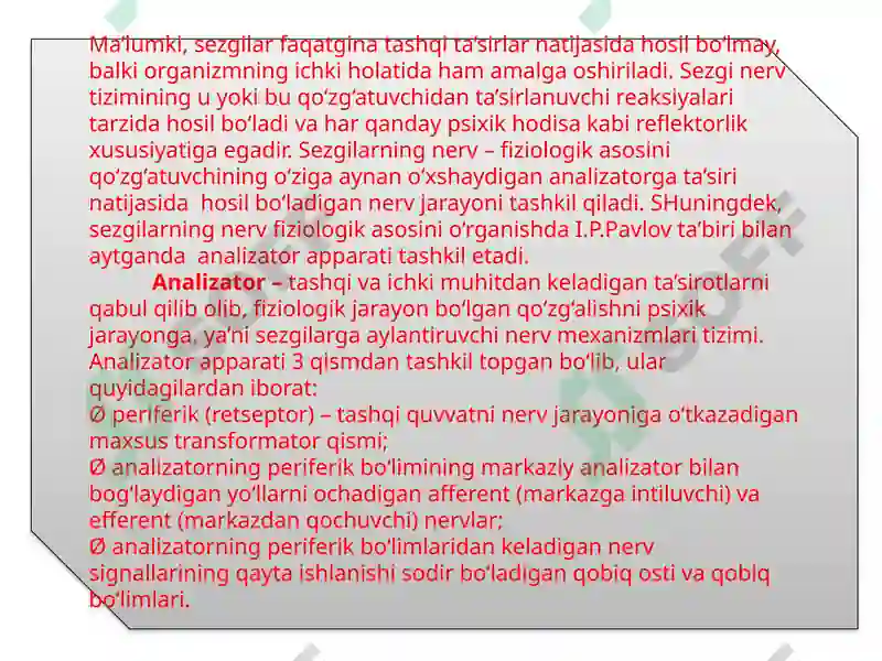 Preview 5