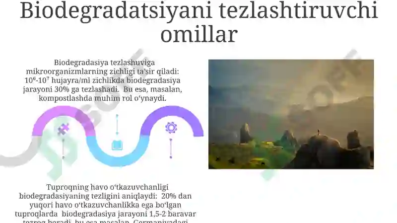 Preview 5