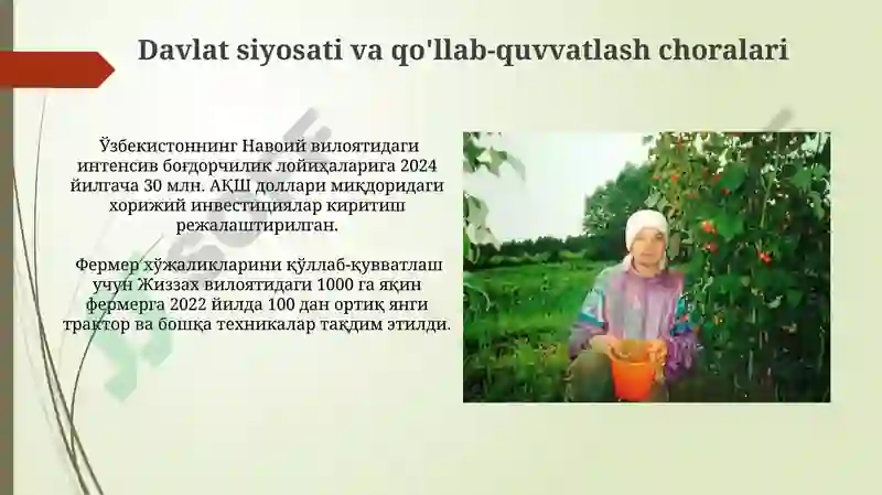 Preview 5