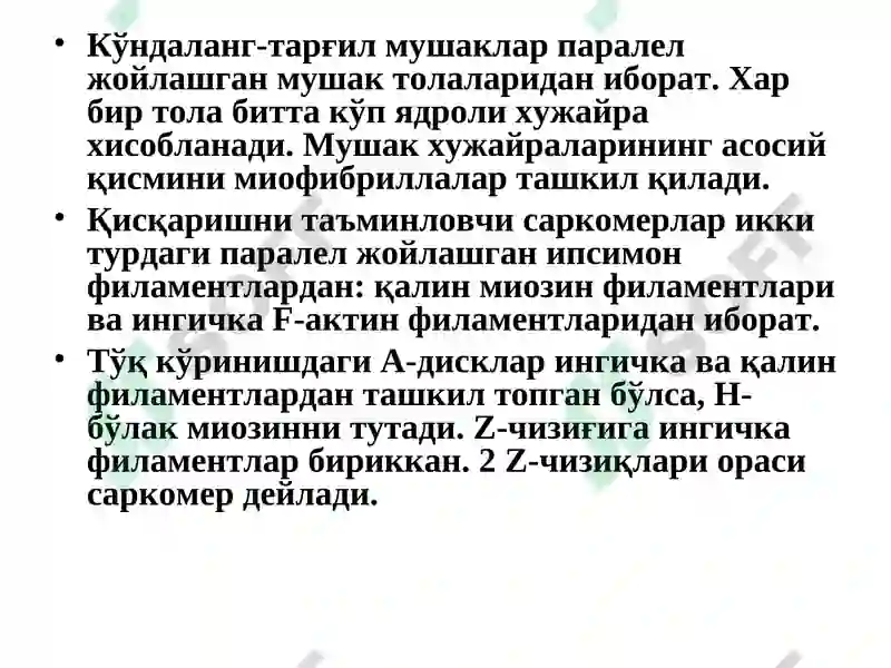 Preview 5