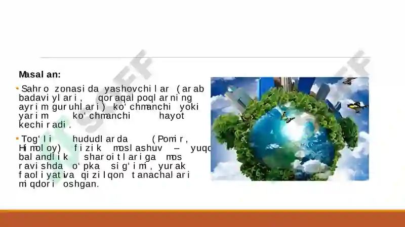 Preview 5