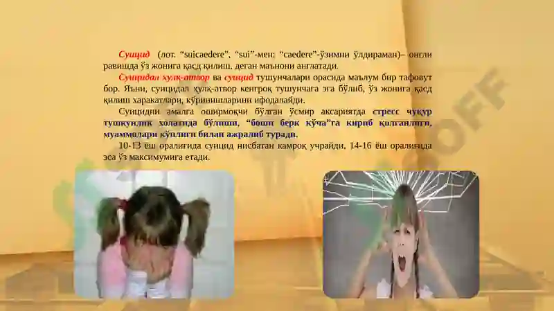 Preview 5