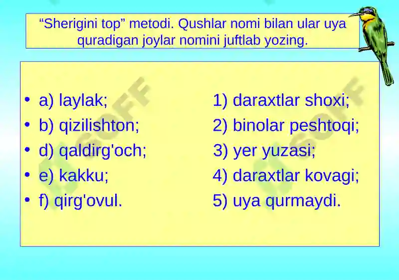 Preview 6