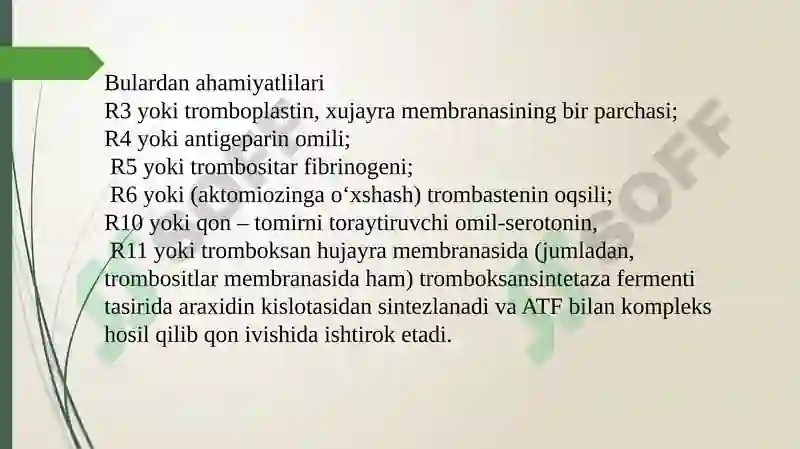 Preview 6