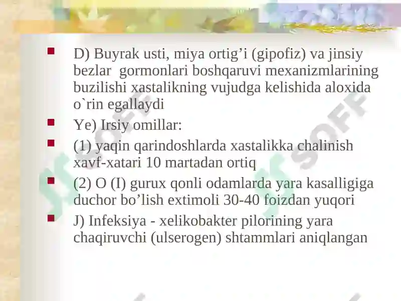 Preview 6
