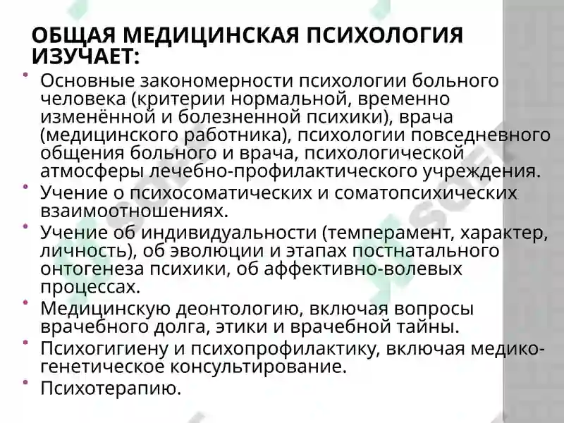 Preview 7