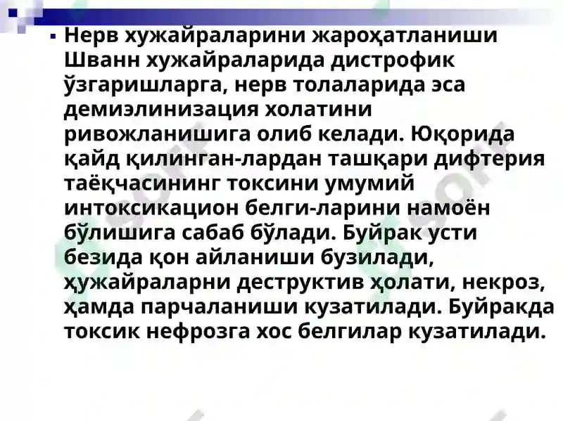 Preview 7