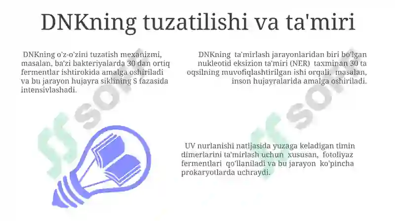 Preview 7