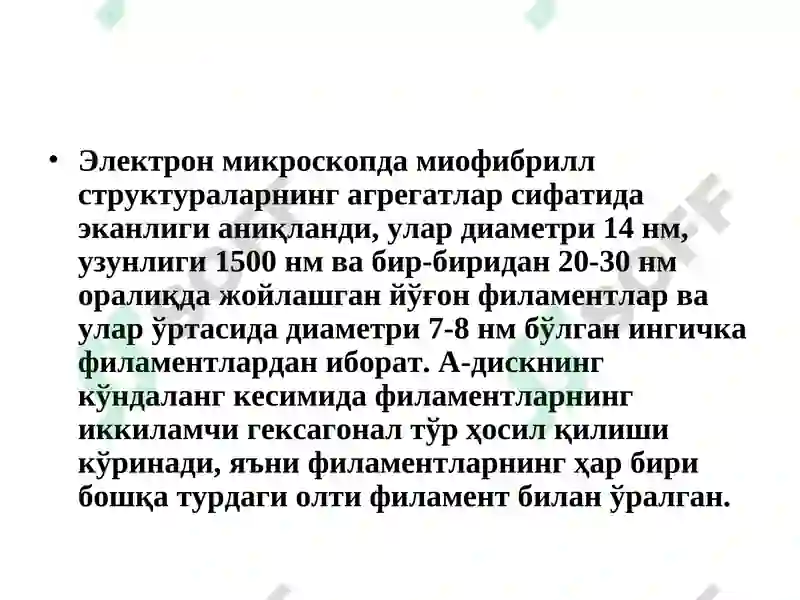 Preview 7