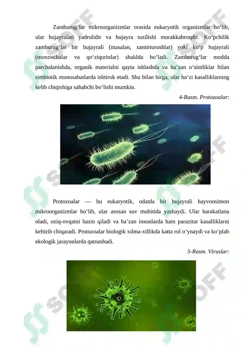 Preview 7