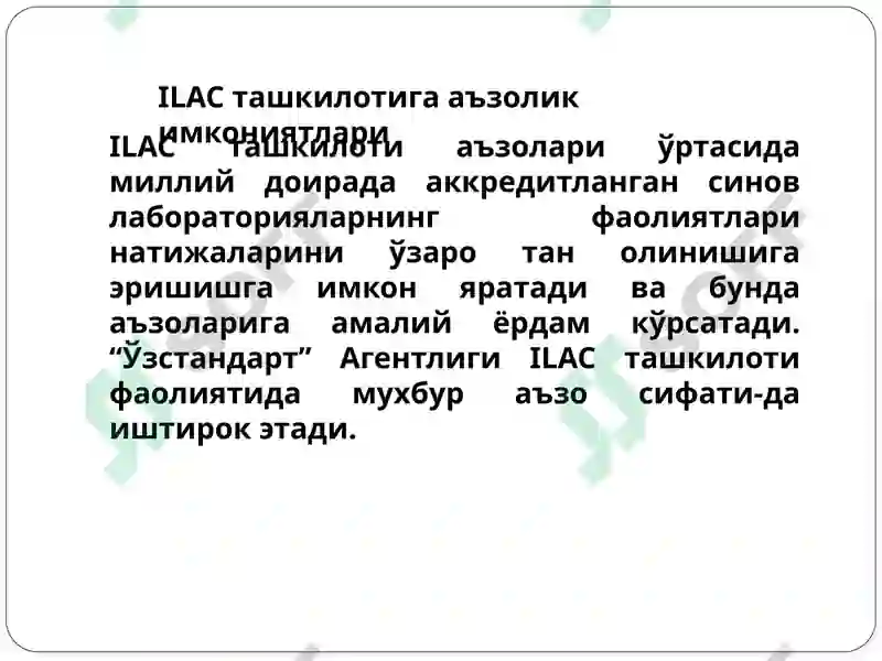 Preview 7