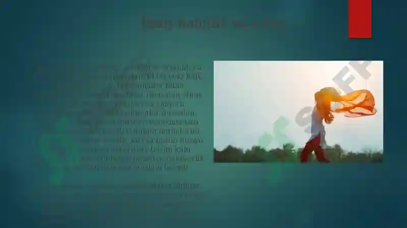 Preview 7