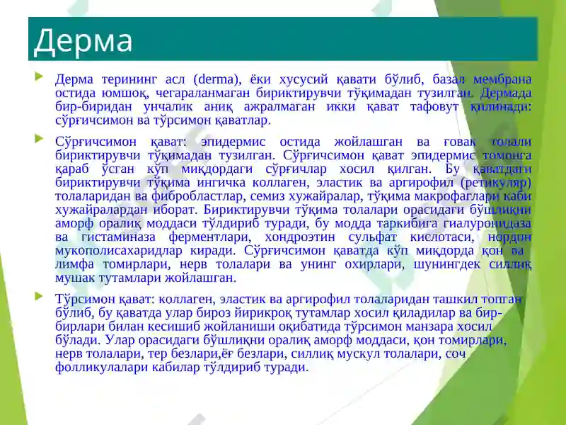 Preview 7
