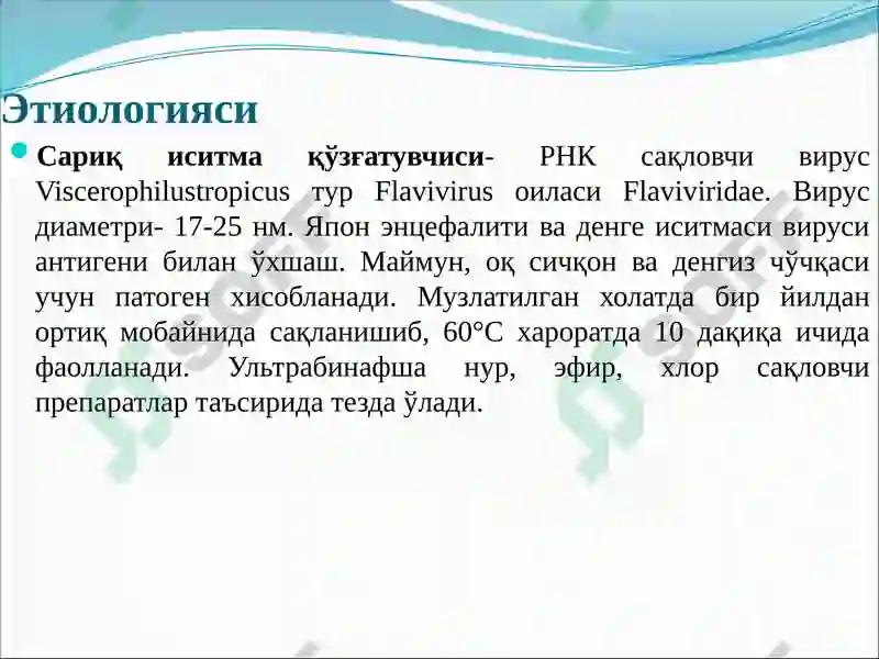 Preview 7