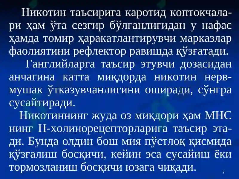 Preview 7