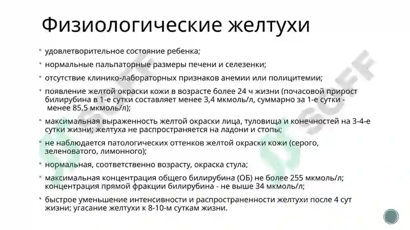 Preview 7